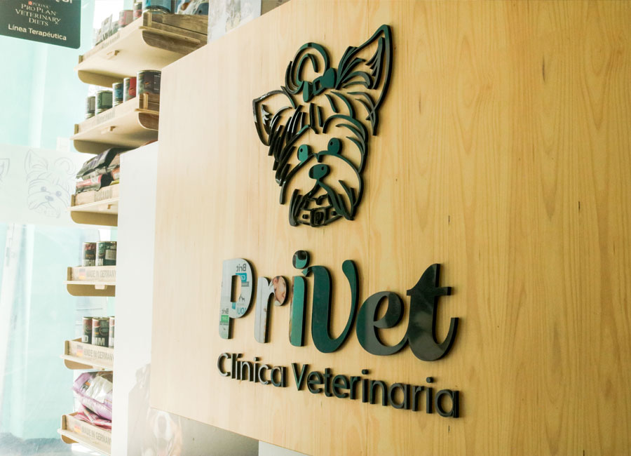 Galería Privet 3